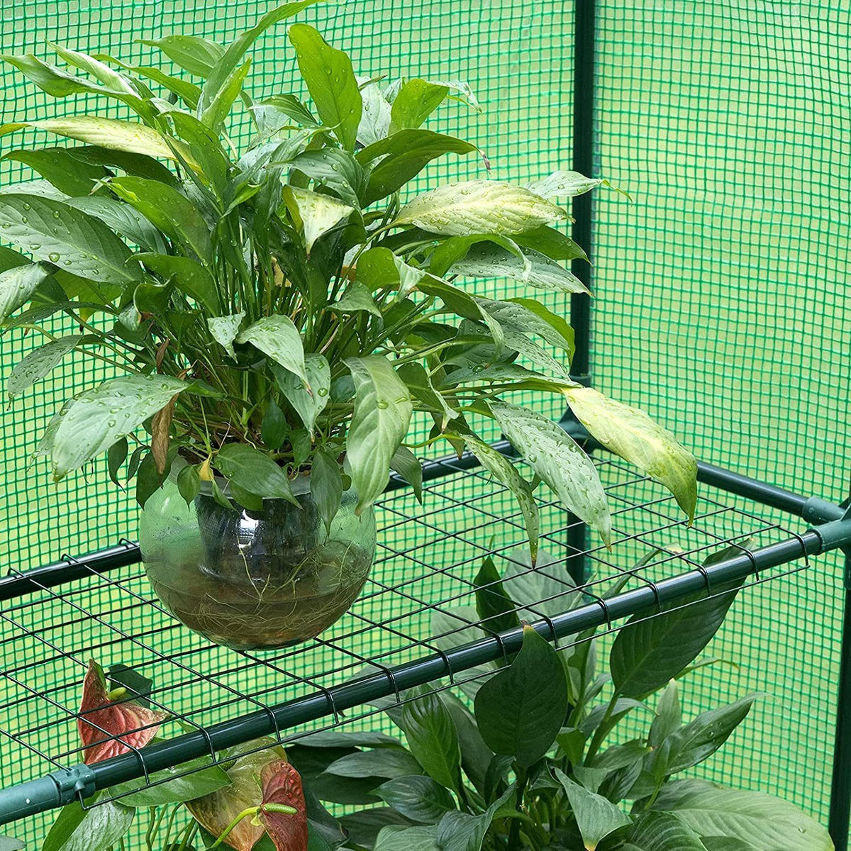 GEWÄCHSHAUS – 143×73×195 cm Foliengewächshaus mit Metallgerüst, UV-beständig, Wetterfest, Rolltür mit Reißverschluss, Für Garten & Balkon - Grün, Textil (143/195/73cm) - JUNG