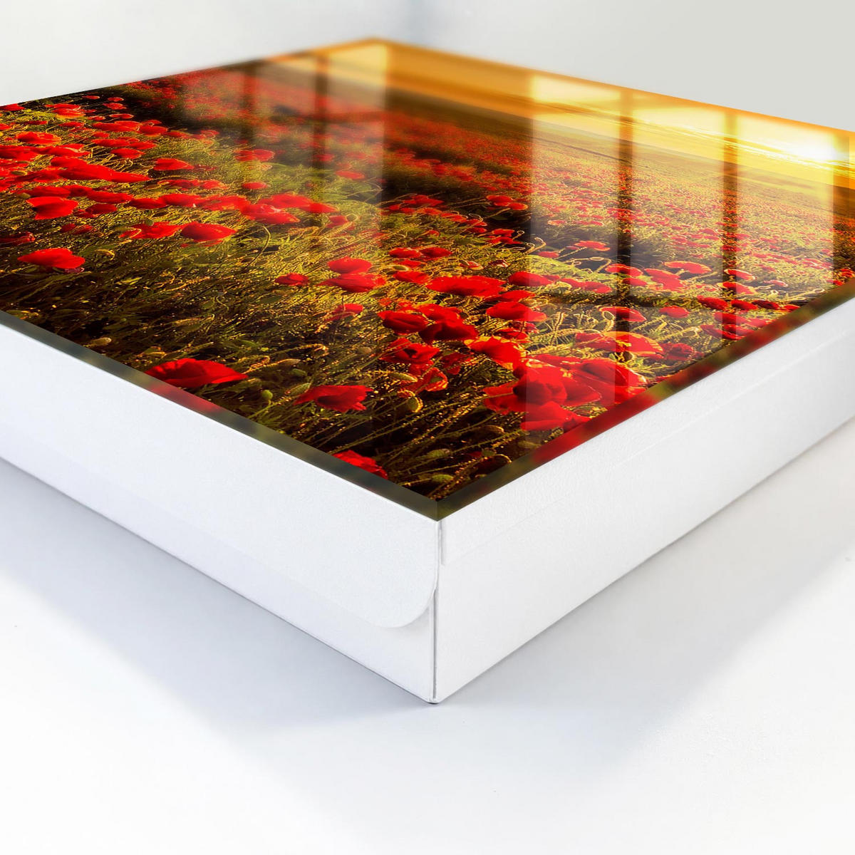 SCHLÜSSELBOX Weiß 30x30 cm – Türöffnung nach rechts - Mohnfelder - Rot, Metall (30/30/5cm) - TULUP