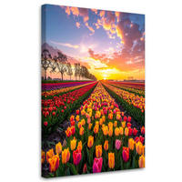 LEINWANDBILD Tulpen Blumen Wiese Ansicht 60x90cm - Multicolor, Textil (60/90cm) - Feeby