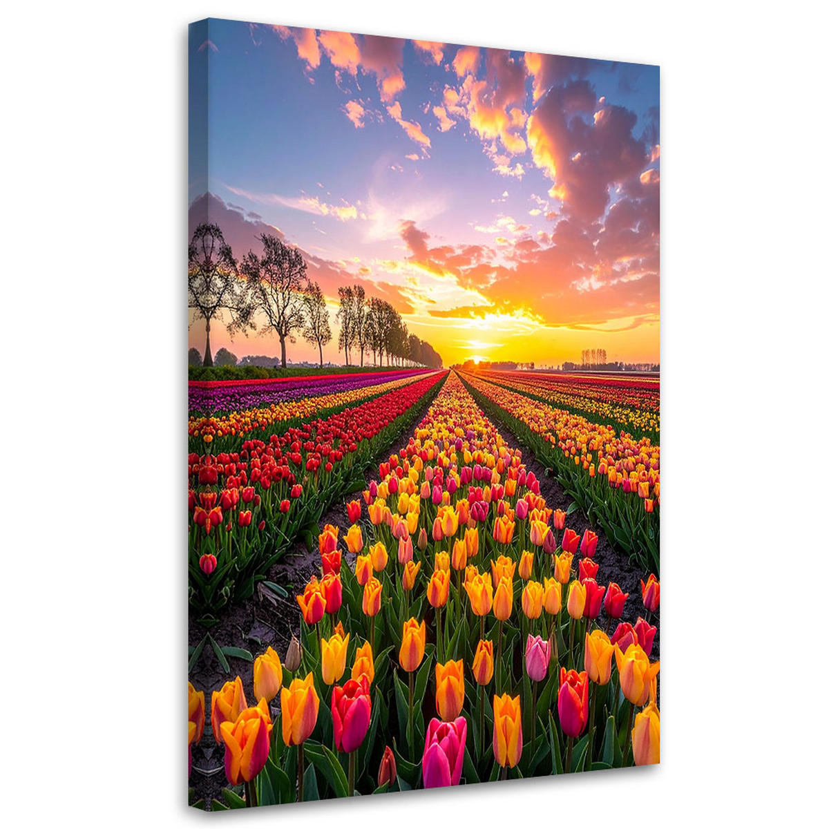 LEINWANDBILD Tulpen Blumen Wiese Ansicht 60x90cm - Multicolor, Textil (60/90cm) - Feeby