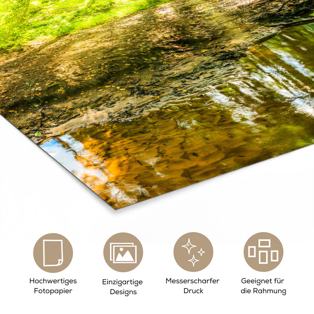 POSTER Wald - Landschaft - Wasser - Bäume - Sonne - Grün - Natur 60x80 cm - Grün, Papier (60/80/0.1cm) - MuchoWow