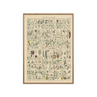 POSTER mit Rahmen Wild Apple - Flora Chart II - Eichefarben/Grün, Holz/Papier (50/70cm) - Poster&Frame