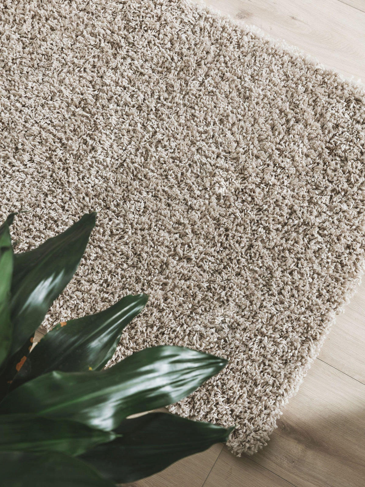 HOCHFLORTEPPICH Soho Beige 80x250 cm - Beige, Kunststoff (80/250cm) - benuta