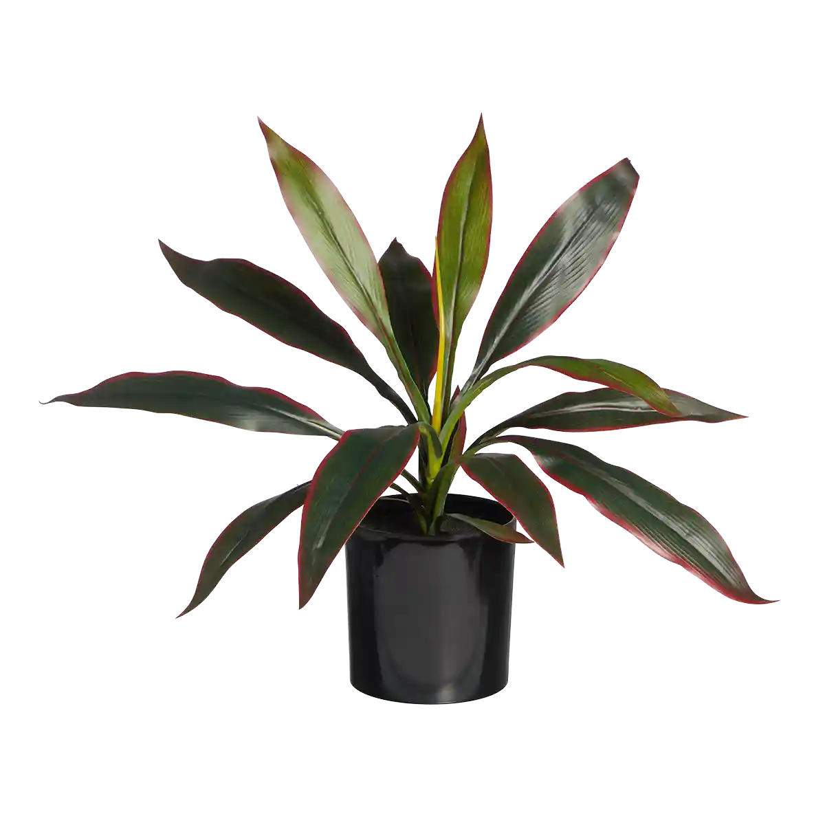 KÜNSTLICHE Cordyline - Monti 40 cm - Grün, Kunststoff (40cm) - aplanta