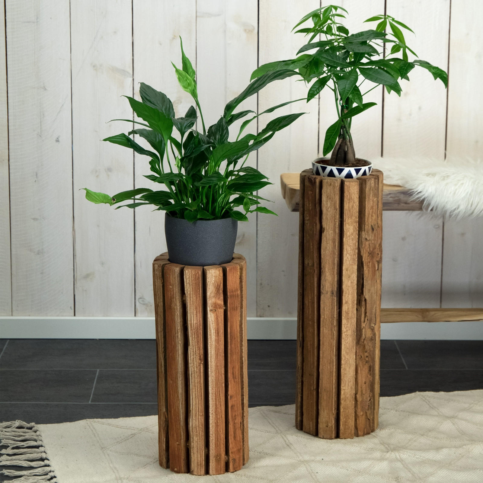 DEKO-SÄULE Spira 55 Massivholz, rund, für Pflanzen, Kerzen naturfarben - Naturfarben, Holz (11/18/55cm) - CREEDWOOD