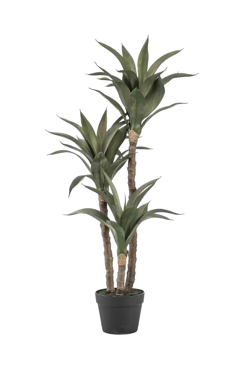 KUNSTPFLANZE Künstliche Agave - Pepe 100 cm - Naturfarben, Kunststoff (100cm) - Emerald
