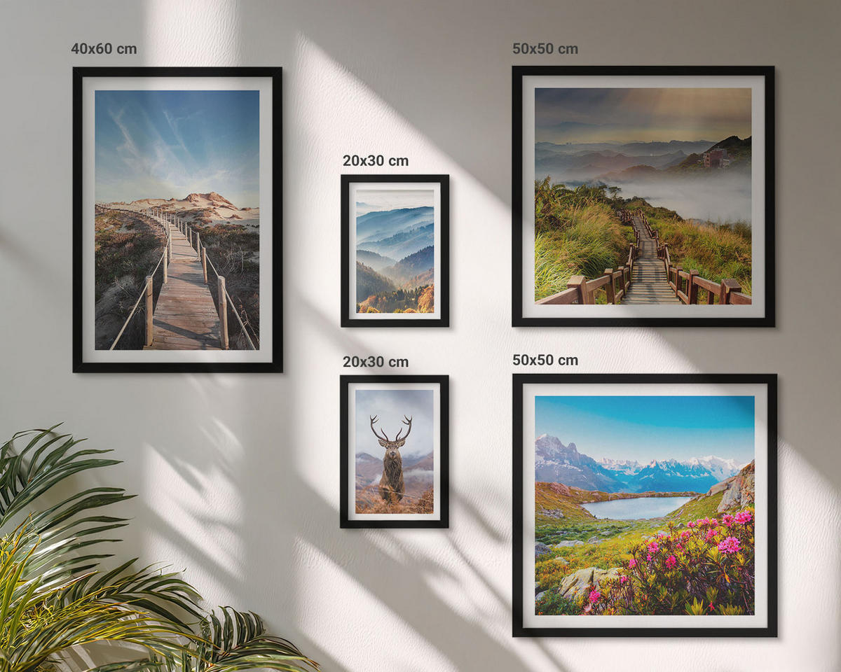 BILDER SET 5er Set - 50x50 cm & 20x30 cm & 40x60 cm Schwarzer Rahmen - Berglandschaft, See, Hirsche - Schwarz, Kunststoff (40/60cm) - TULUP