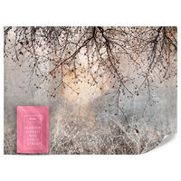 FOTOTAPETA Vetvy Betón Rastliny Abstrakcia 400 x 280 cm - oranžová/hnedá, papier (400/280cm) - Muralo