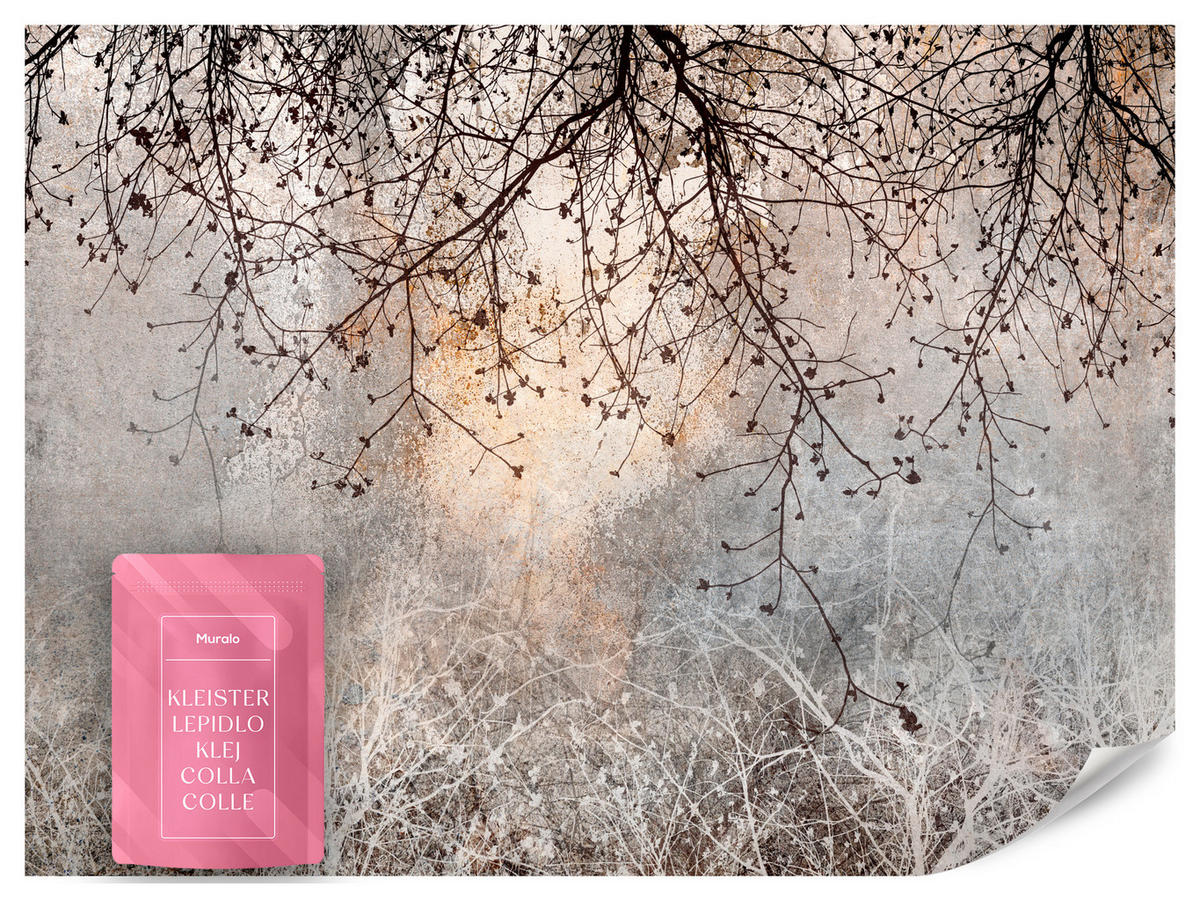 FOTOTAPETA Vetvy Betón Rastliny Abstrakcia 400 x 280 cm - oranžová/hnedá, papier (400/280cm) - Muralo