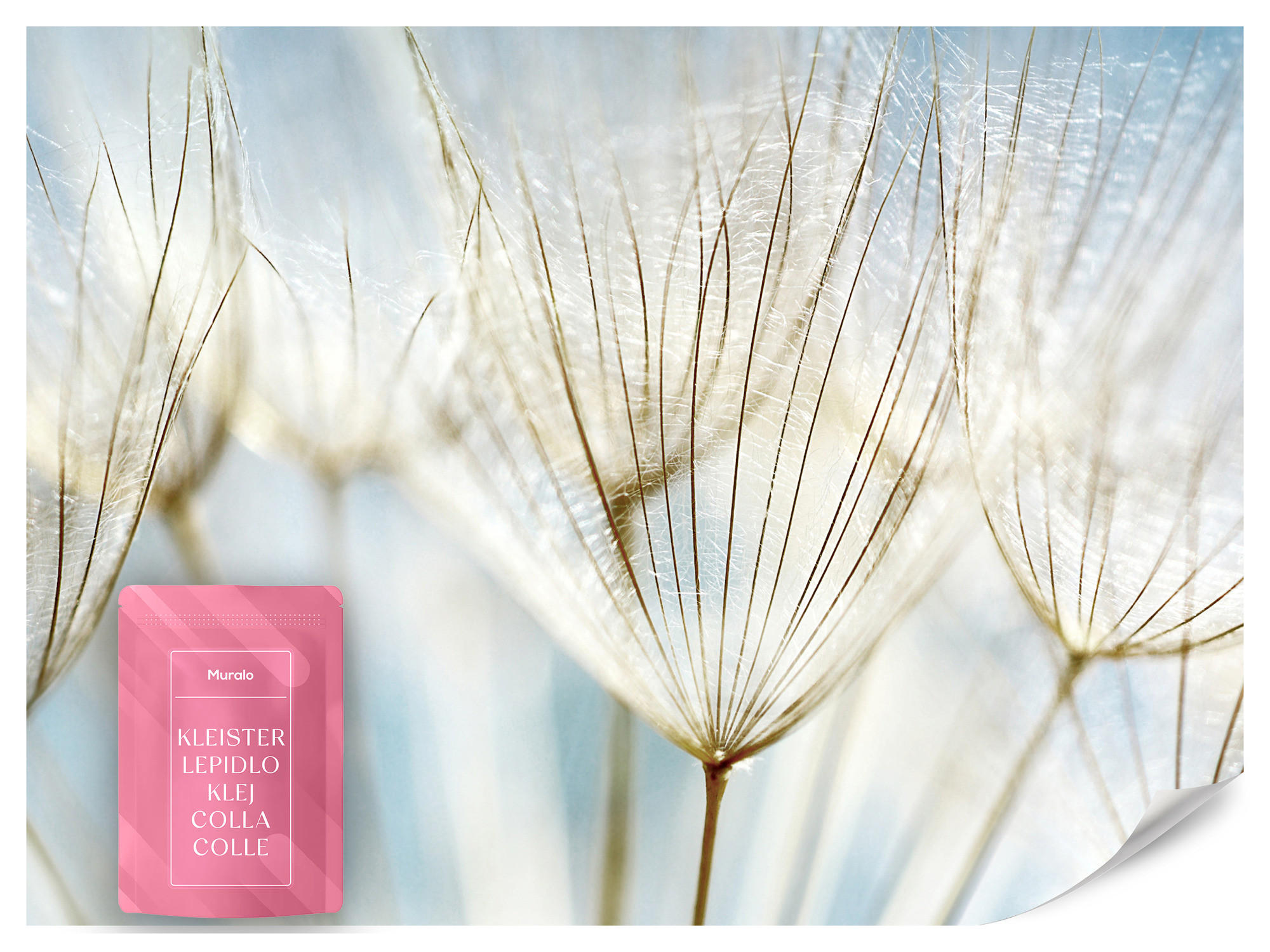 FOTOTAPETE für Wohnzimmer Löwenzahn Pflanzen Natur 500x350 - Blau/Beige, Papier (500/350cm) - Muralo