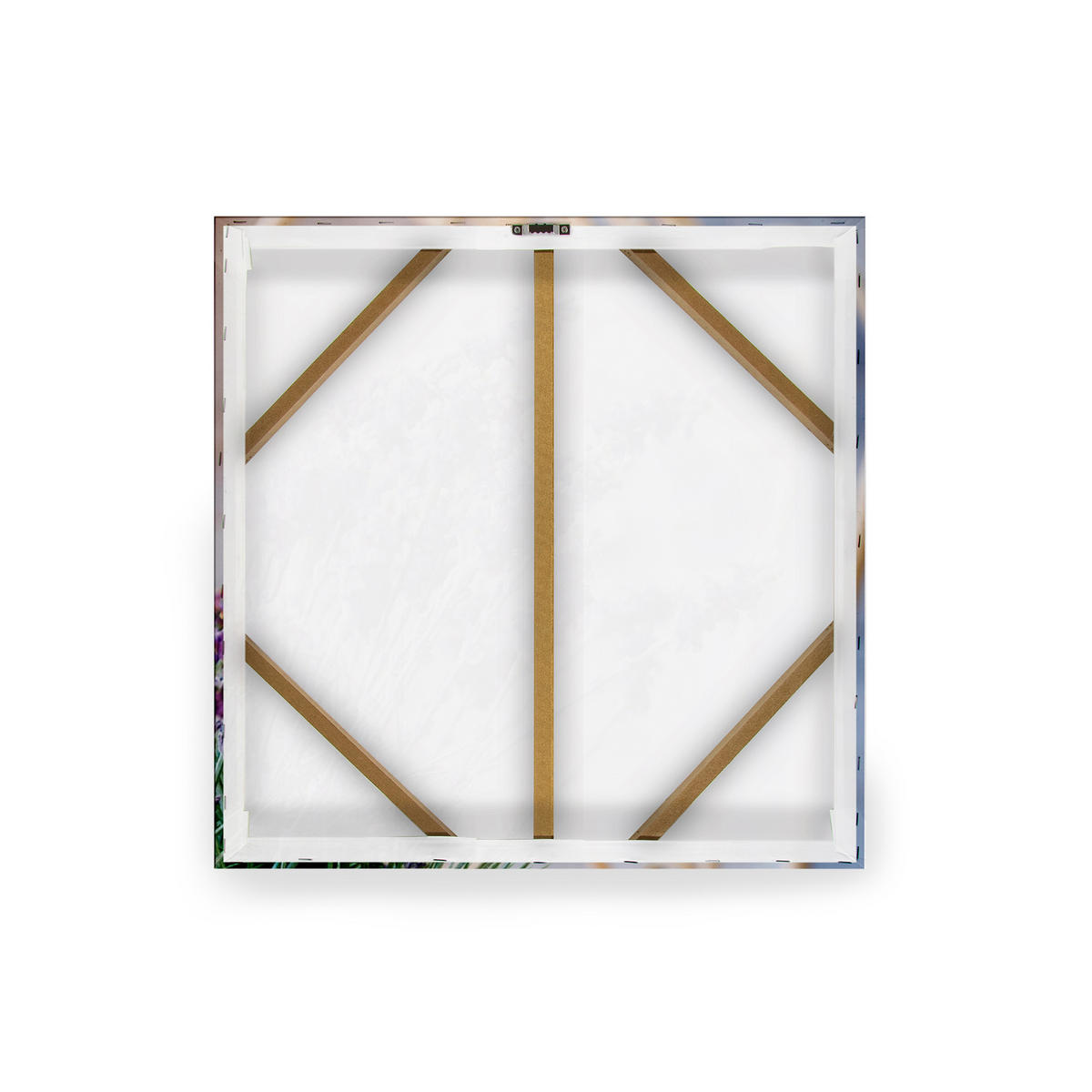 LEINWANDBILD Lavendel Harmonie - 50x50cm - Lila, Textil (50/1cm) - Art for the Home