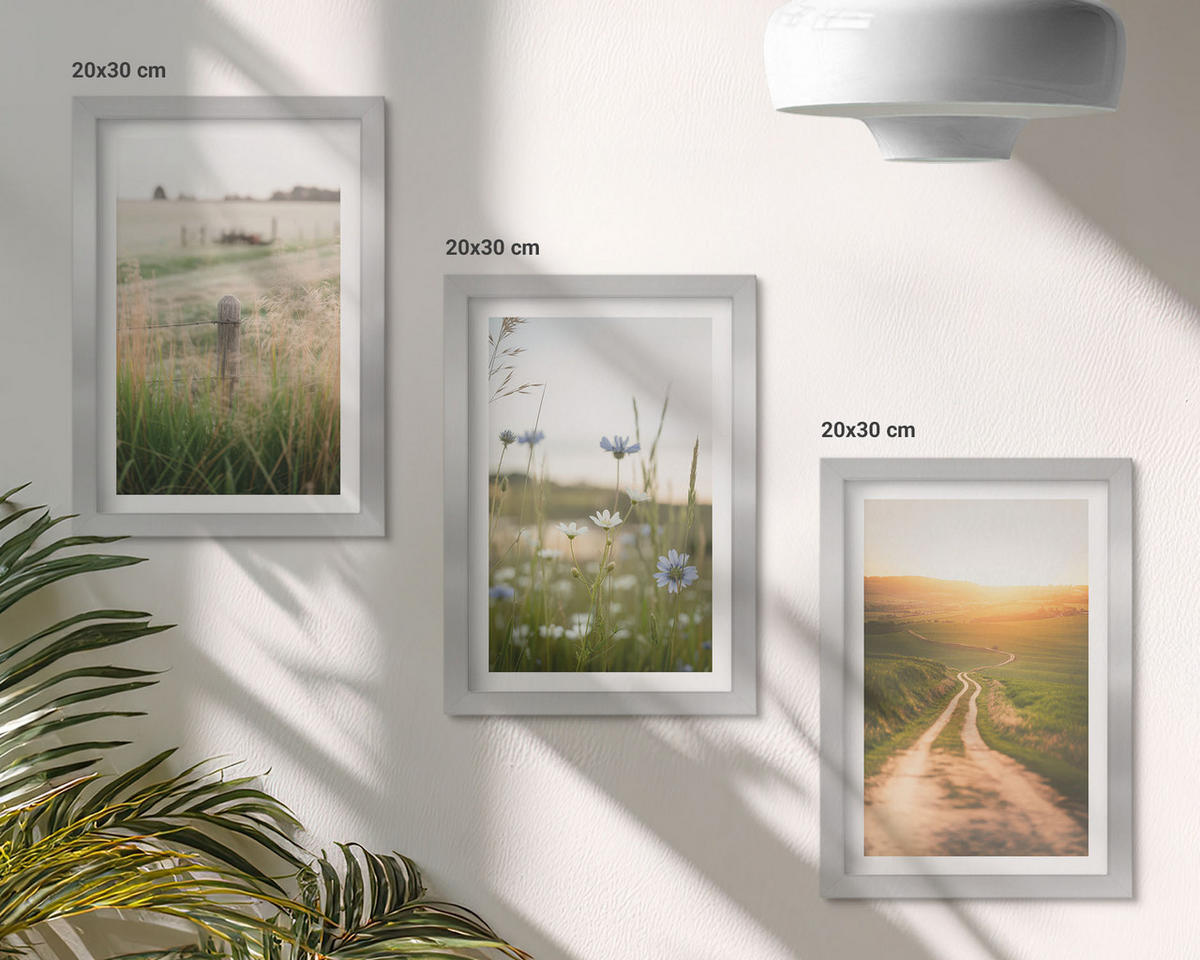 BILDER SET 3er Set - 20x30 cm Silberner Rahmen - Landschaften Natur Felder Weg - Silberfarben, Kunststoff (20/30cm) - TULUP