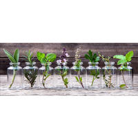 GLASBILD 80x30 cm Küche Kräuter grün - Gelb, Glas (80/30cm) - artissimo