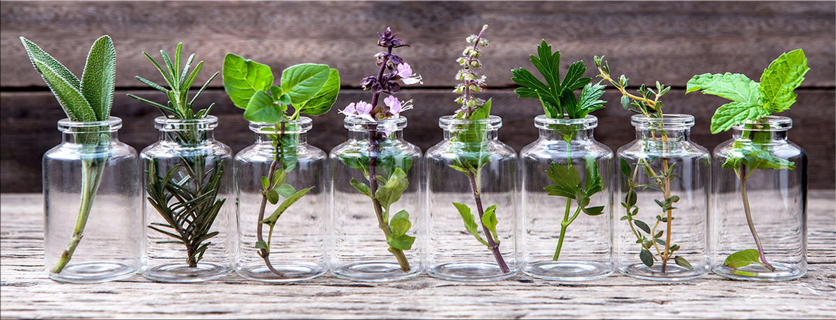 GLASBILD 80x30 cm Küche Kräuter grün - Gelb, Glas (80/30cm) - artissimo