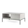 COUCHTISCH NANAIMO STO1-2S Profilierte Fronten, Grau - Grau, Holzwerkstoff/Kunststoff (68/104/48cm) - Komodee