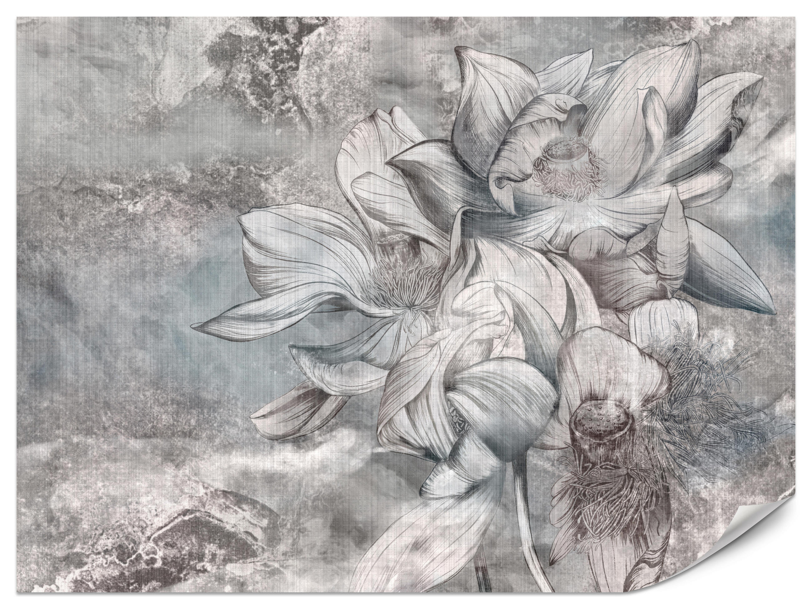 FOTOTAPETE für Wohnzimmer Wunderschöne Blume Betonwand Retro 250x175 - Grau, Papier (250/175cm) - Muralo