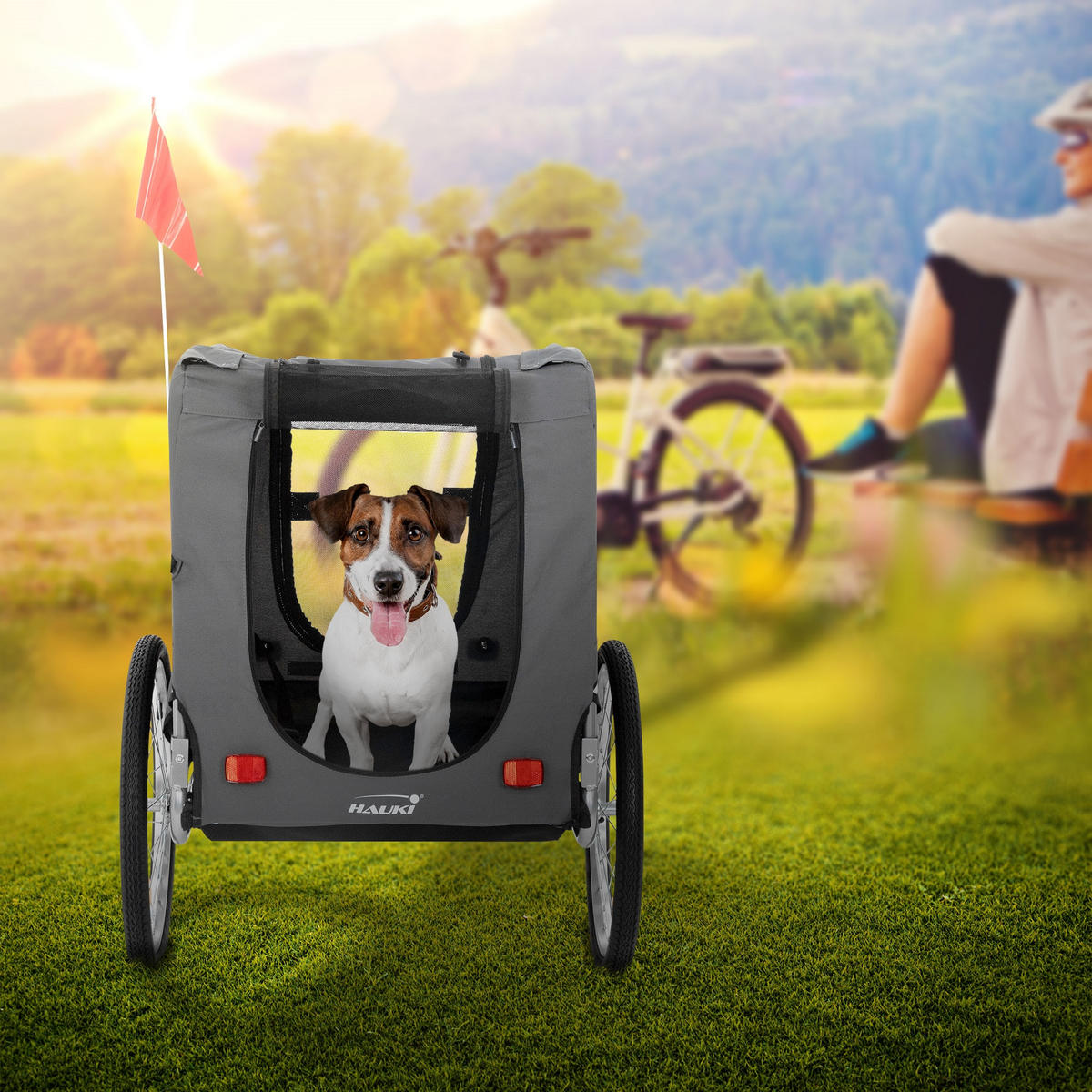 FAHRRAD-HUNDEANHÄNGER - Grau, Metall (72/123/130cm) - Hauki