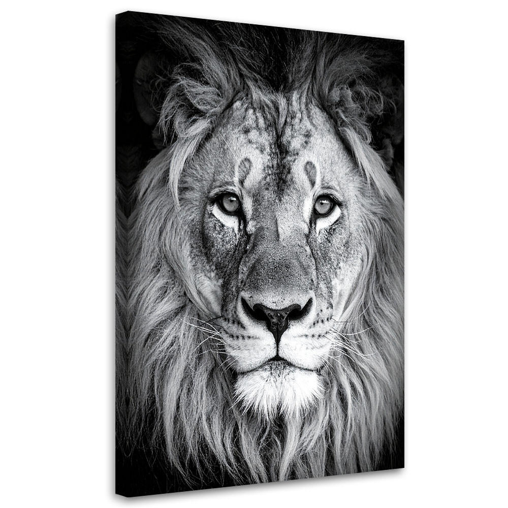 Feeby Bild Schwarz 40x60 cm