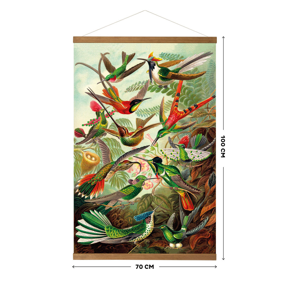 POSTER Kolibris 80x60 - Multicolor, Textil (60/80/0.1cm) - Art for the Home