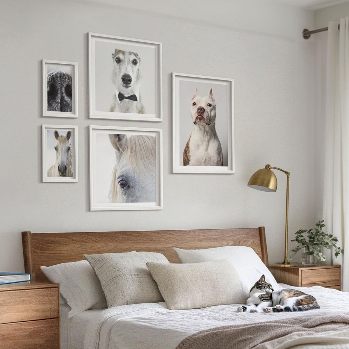 WANDBILDER 5er-Set - 50x50 cm & 20x30 cm & 40x60 cm Weißer Rahmen - Elegante Porträts von Hunden und Pferden - Weiß, Kunststoff (40/60cm) - ArtPrintCave