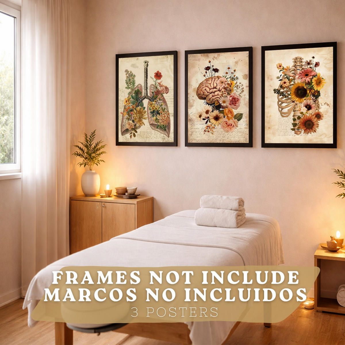 POSTER Set aus 3 Anatomie Mensch Vintage Florale Drucke und Wandbilder mit Lungen Brustkorb und Gehirn Botanischer Antiker Stil Größe Rahmenlos A3 - Klar, Papier (29.7/42/3cm) - Nacnic
