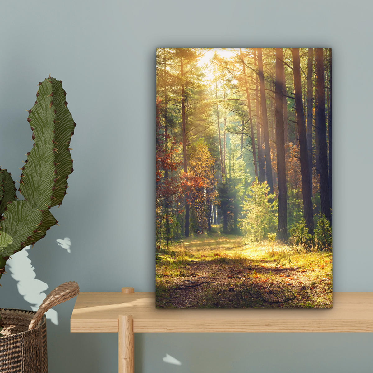 LEINWANDBILD Wald - Herbst - Bäume 20x30 cm - Dunkelgrün, Textil (20/30cm) - MuchoWow