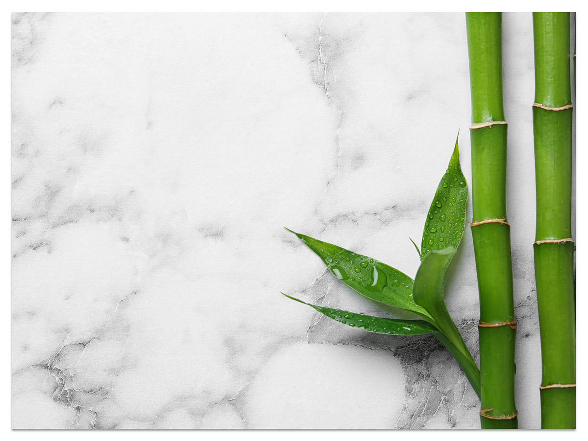 FOTOTAPETE für Küche Bambusblätter Grauer Marmor Exotisch Elegant 450x315 - Weiß/Grau, Papier (450/315cm) - Muralo