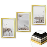 WANDBILDER 3er Set - 20x30 cm Goldrahmen - Wasserpflanzen im Sommer - Goldfarben, Kunststoff (20/30cm) - ArtPrintCave