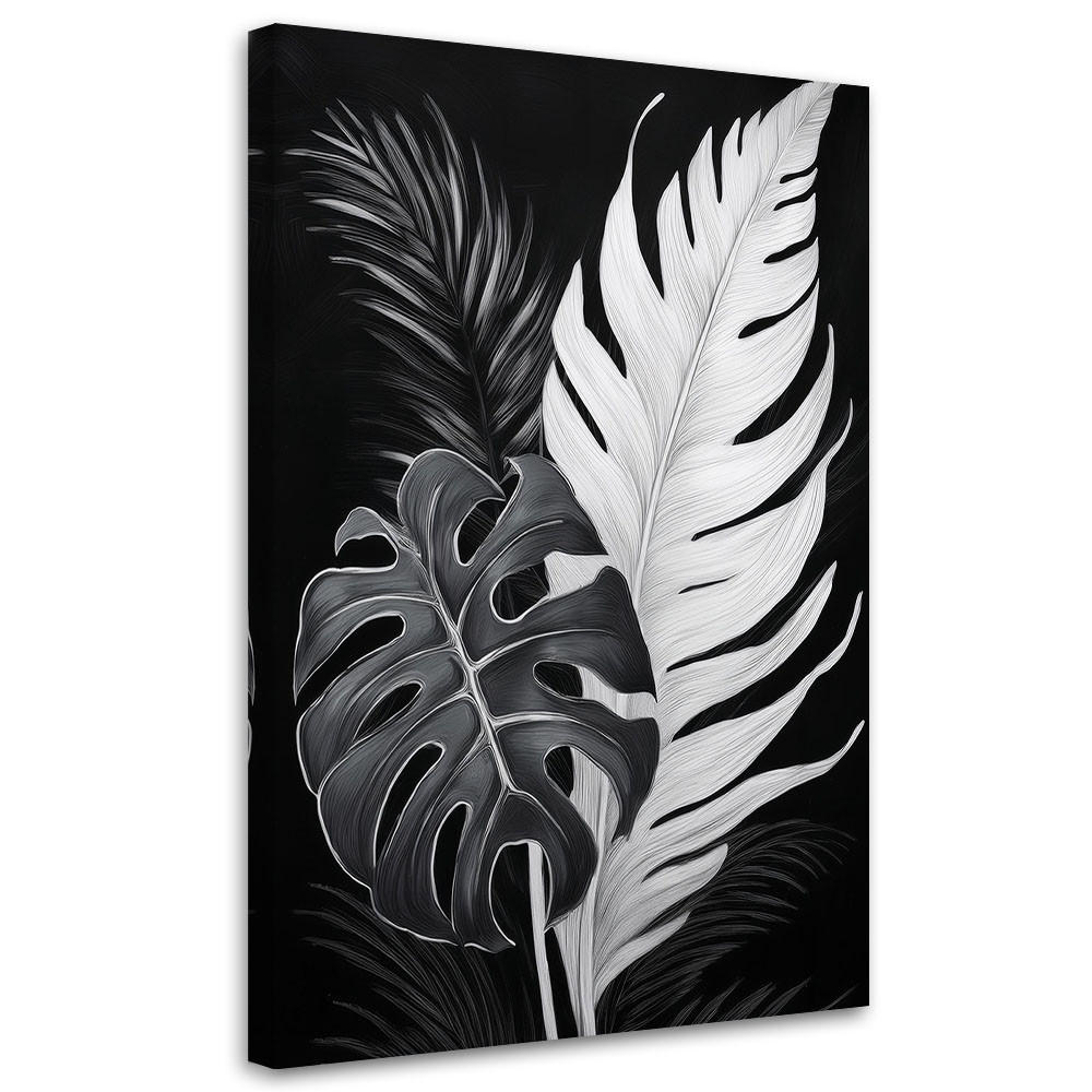 monstera filamentosa Monstera Obliqua 'Filamentous' – Casa Botanica main image 1