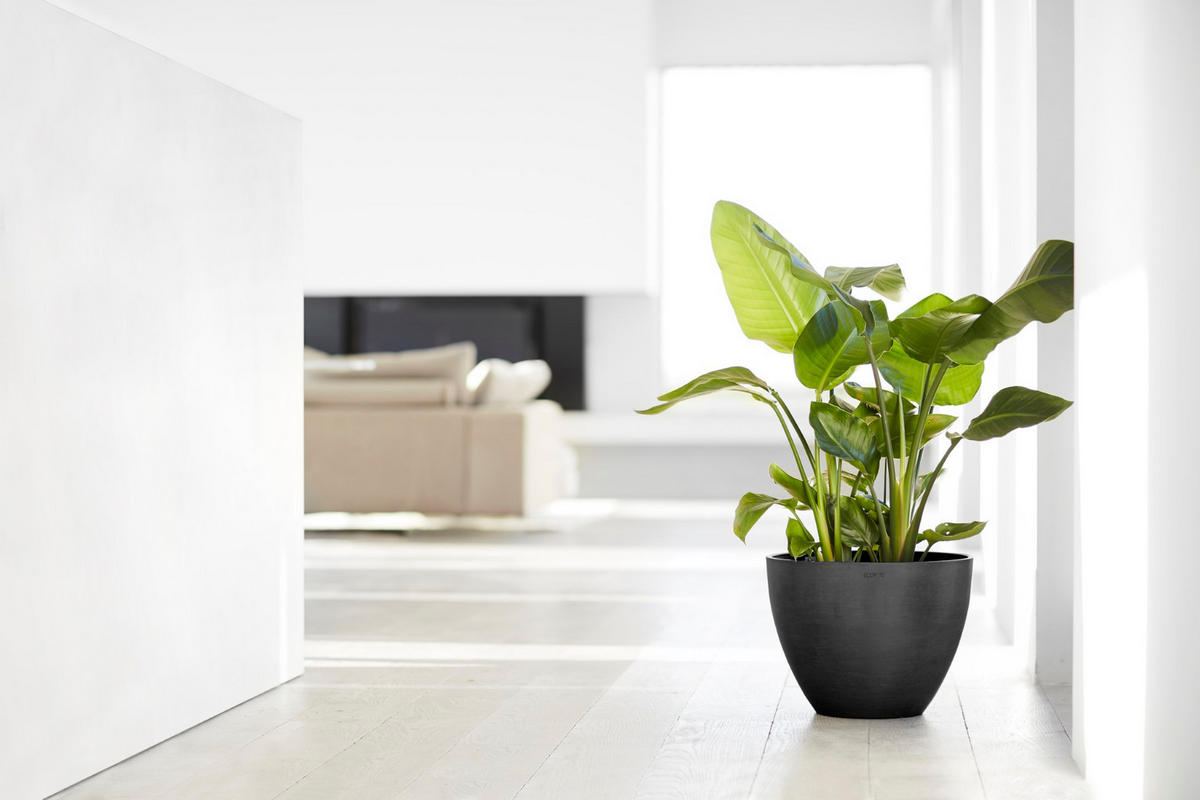 BLUMENTOPF Antwerp 39,7/30 cm Dunkelgrau - Dunkelgrau, Kunststoff (39.7/30cm) - Ecopots