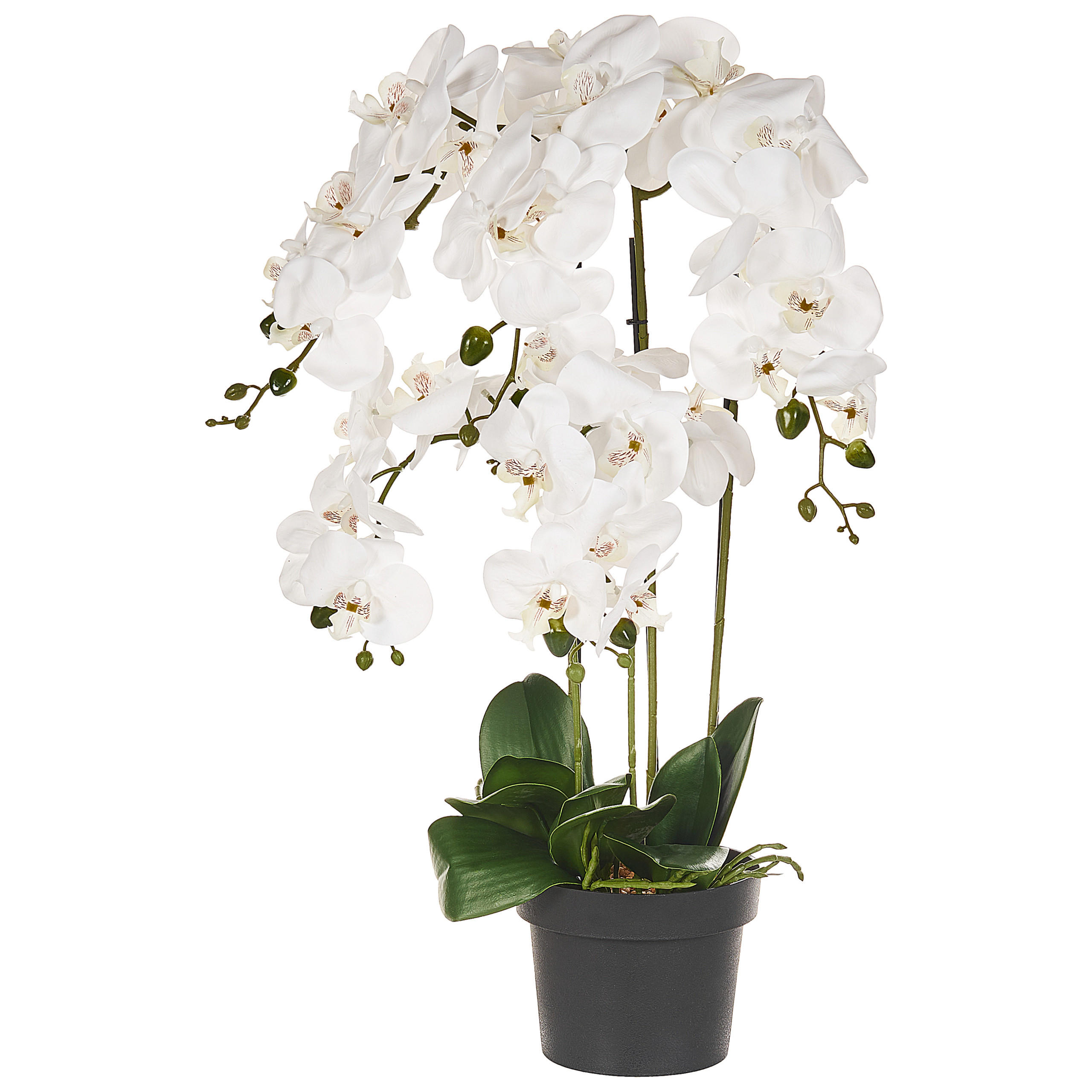 Beliani UMĚLÁ ROSTLINA v květináči 65 cm Bílá Orchid