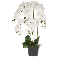 KUNSTPFLANZE im Blumentopf 65 cm Weiß Orchid - Weiß/Grün, Kunststoff (65cm) - Beliani