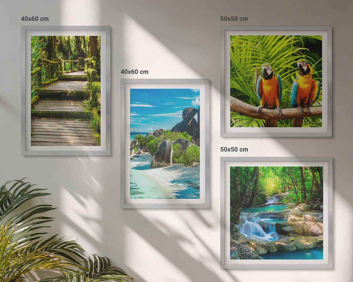 WANDBILDER 4er Set - 50x50 cm & 40x60 cm Silberner Rahmen - Tropischer Wald Papageienwasserfall - Silberfarben, Kunststoff (50/50cm) - ArtPrintCave