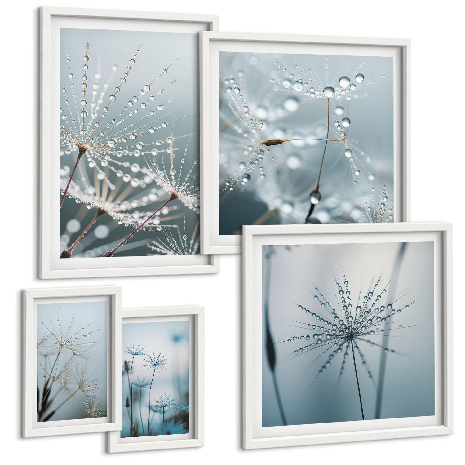 BILDER SET 5er Set - 50x50 cm & 20x30 cm & 40x60 cm Weißer Rahmen - Tautropfen auf Löwenzahn - Weiß, Kunststoff (40/60cm) - TULUP