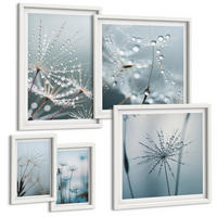 BILDER SET 5er Set - 50x50 cm & 20x30 cm & 40x60 cm Weißer Rahmen - Tautropfen auf Löwenzahn - Weiß, Kunststoff (40/60cm) - TULUP