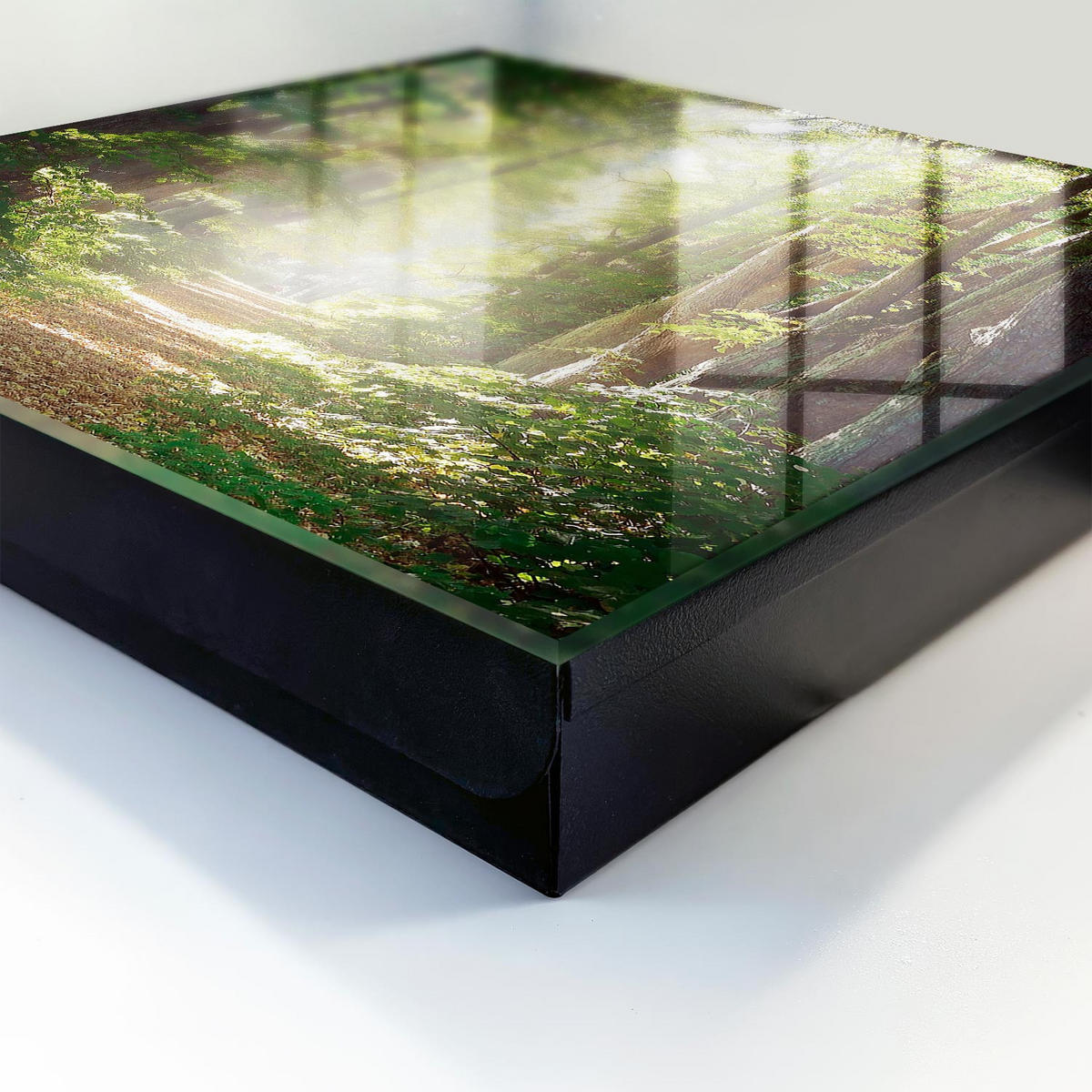 SCHLÜSSELBOX Schwarz 30x30 cm- Türöffnung nach rechts - Waldlandschaft - Grün, Metall (30/30/5cm) - TULUP