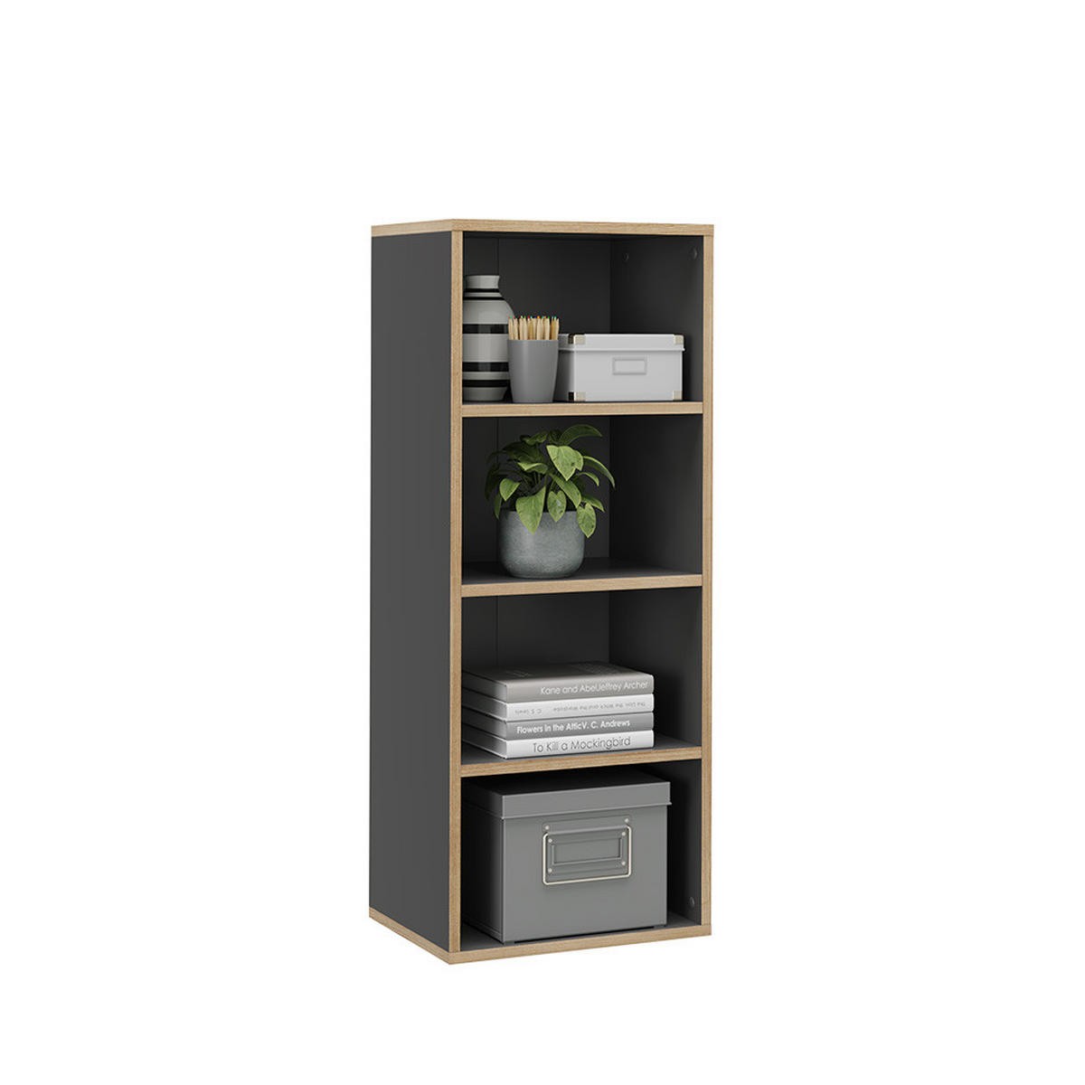 BÜCHERREGAL Tetrix Anthrazit 40 x 100 cm mit 4 Fächern - Anthrazit/Beige, Holzwerkstoff (40/100/30cm) - Vicco