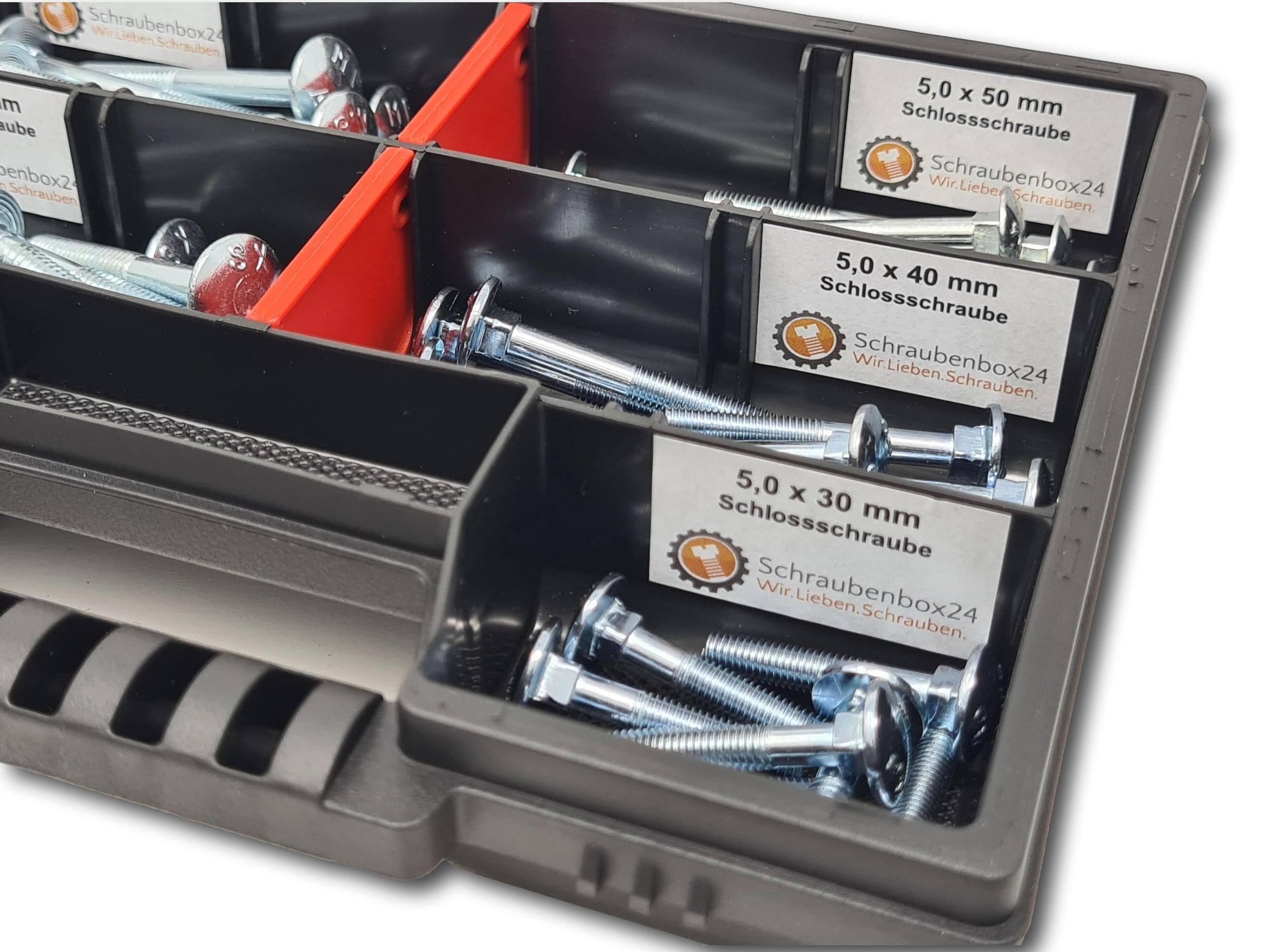 FLACHKOPFSCHRAUBEN Sortiment M5-M6 // 30mm-50mm 60 tlg. Schraubenbox DIN 603 - Zinkfarben, Metall (3.5cm) - Schraubenbox24