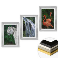 WANDBILDER 3er Set - 20x30 cm Silberner Rahmen - Tiger Wasserfall Flamingos Natur - Silberfarben, Kunststoff (20/30cm) - ArtPrintCave