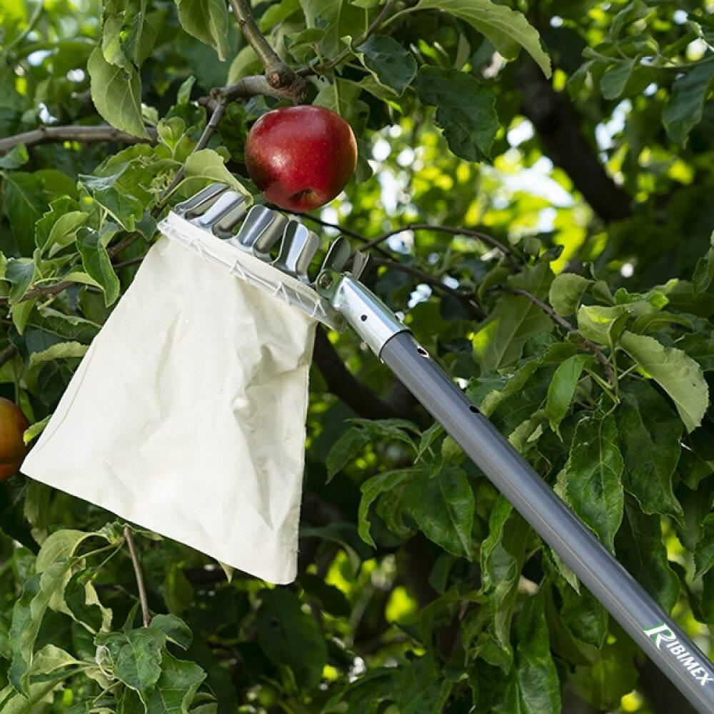 OBSTPFLÜCKER Baumwollte Ribimex - Grau, Metall (16/14/16cm)