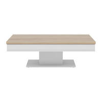 COUCHTISCH - 120 cm, 146 cm x 59 cm - Holz, Platte - Naturfarben Hell, Weiß - ASTULIA - Naturfarben/Weiß, Holz (59/120/40.2cm) - Vente-Unique
