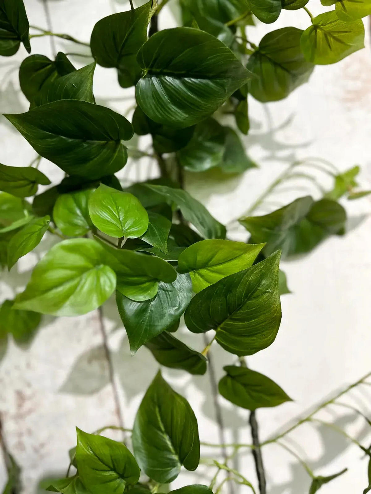 MONSTERAS Künstliche Monstera Girlande - Beatrice 180 cm - Grün, Kunststoff (180cm) - aplanta