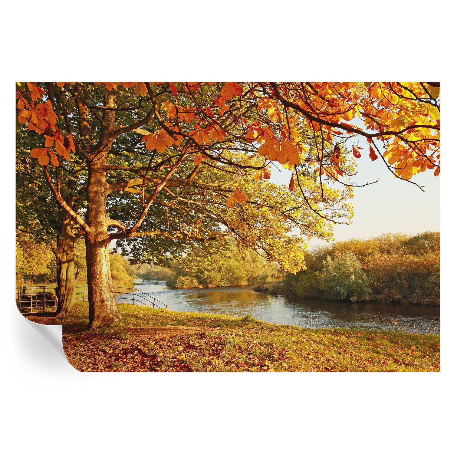 FOTOTAPETE 152x104 cm - Küstenherbst - Gelb, Textil (152/104cm) - Wallfluent
