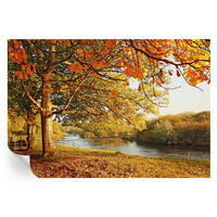 FOTOTAPETE 152x104 cm - Küstenherbst - Gelb, Textil (152/104cm) - Wallfluent