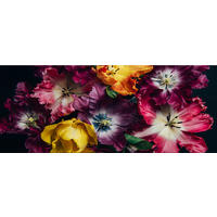 GLASBILD 125x50 cm Tulpen bunt - Gelb, Glas (125/50cm) - artissimo