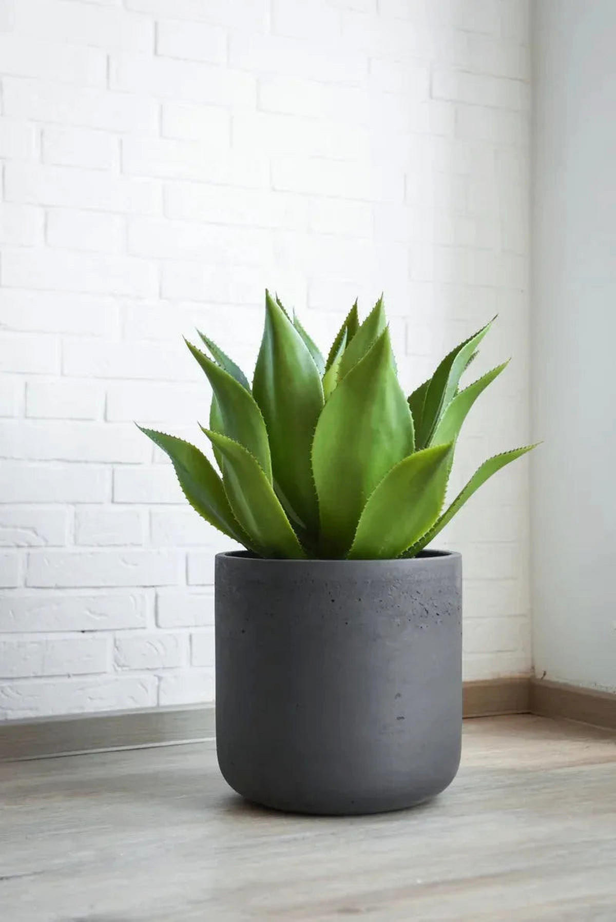 PFLANZTOPF Miro schwarz | 32x31 - Schwarz, Kunststoff (31cm) - aplanta