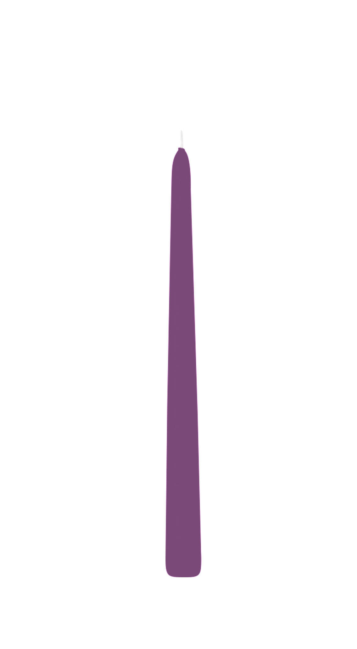 SPITZKERZEN Brombeere 300 x Ø 25 mm, 12 Stück - Brombeere, Paraffin (2.5/30/30cm) - Wiedemann Kerzen