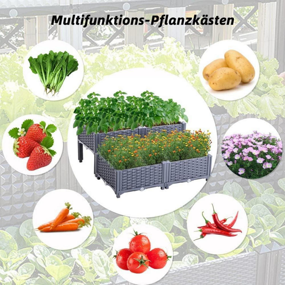 HOCHBEET Kunststoff-Rattan Graublau 80 x 80 cm - Grau, Kunststoff (80/38/80cm)
