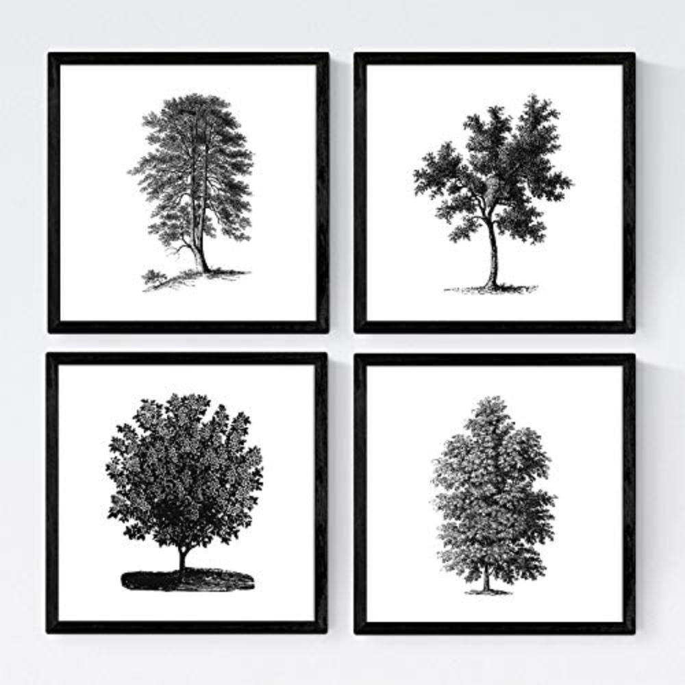 Nacnic Poster Klar 30x3 cm