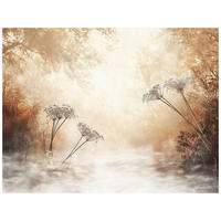 FOTOTAPETE Wald Boho Beige Nature 400x280 - Multicolor, Papier (400/280cm) - Wallarena